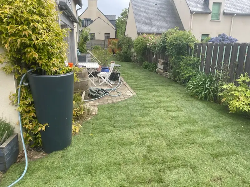 Pose de gazon en plaques – Pelouse de particulier – Après